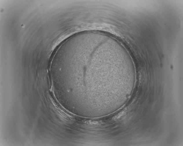 X0000059091505200510211554