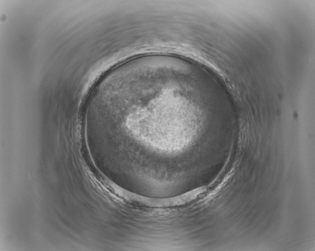 X0000059091506200510211554