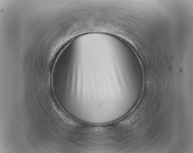 X0000059091507200510211554