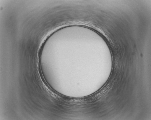 X0000059091508200510211554