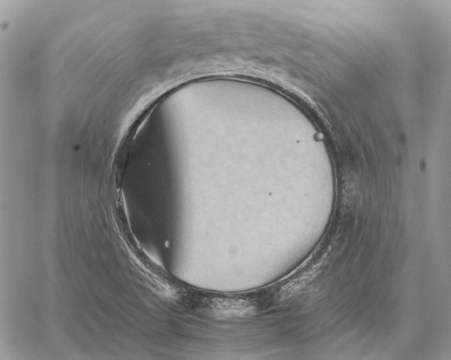 X0000059091509200510211554