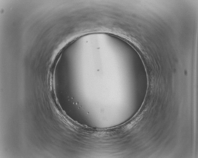 X0000059091510200510211554