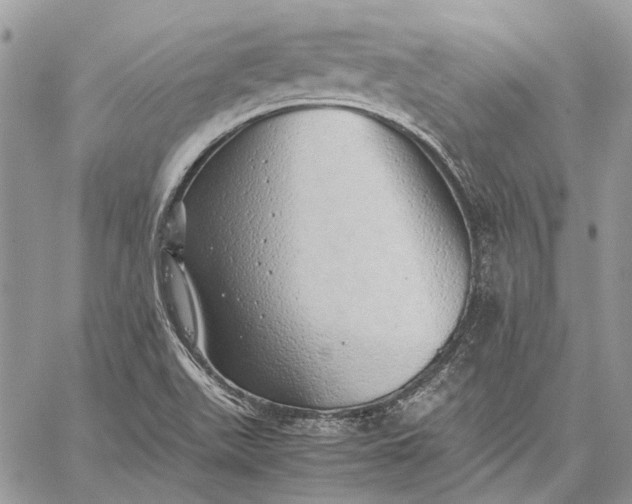 X0000059091511200510211554