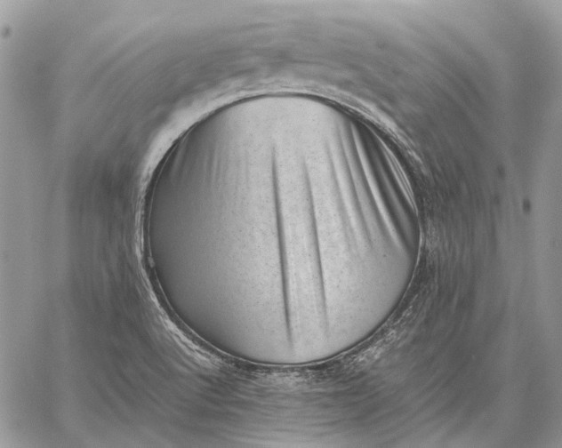 X0000059091512200510211554