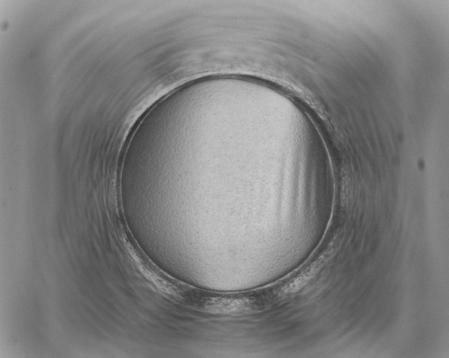 X0000059091513200510211554