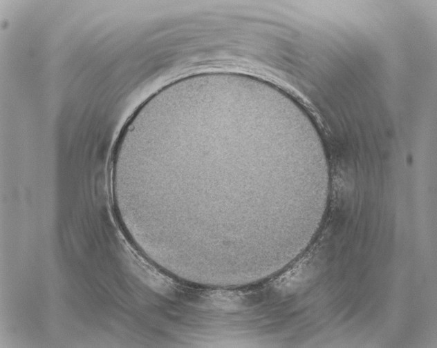 X0000059091514200510211554