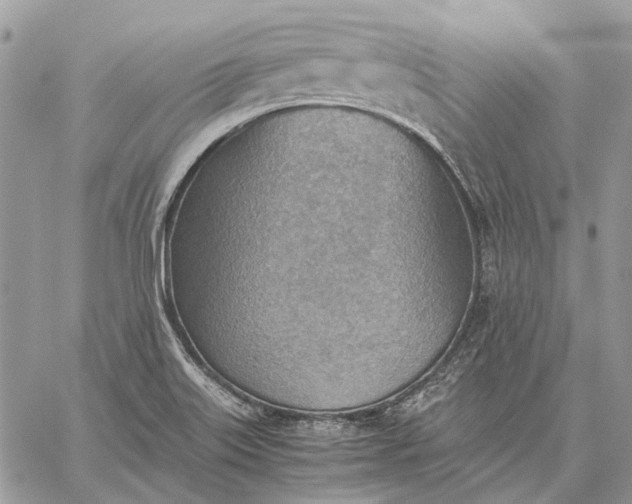 X0000059091515200510211554