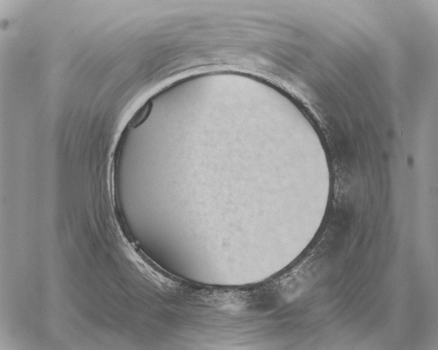 X0000059091516200510211554