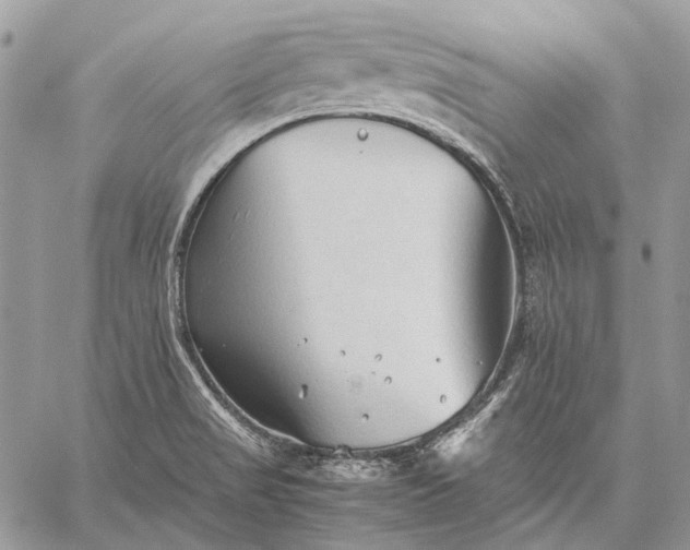 X0000059091517200510211554