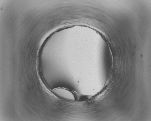 X0000059091518200510211554