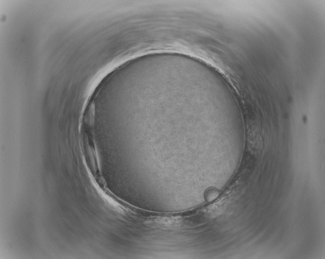 X0000059091519200510211554