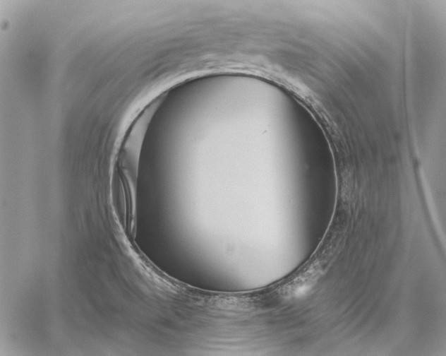 X0000059091520200510211554