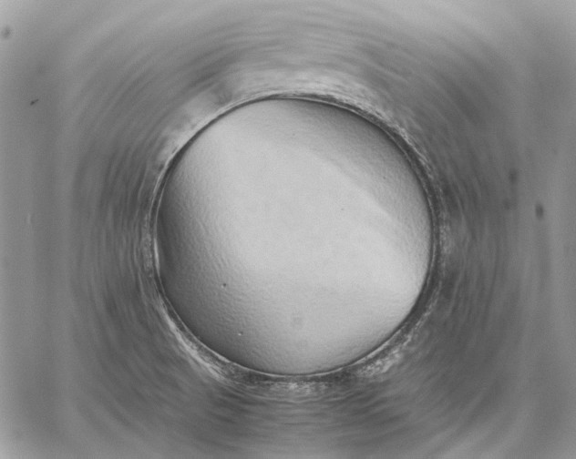 X0000059091521200510211554