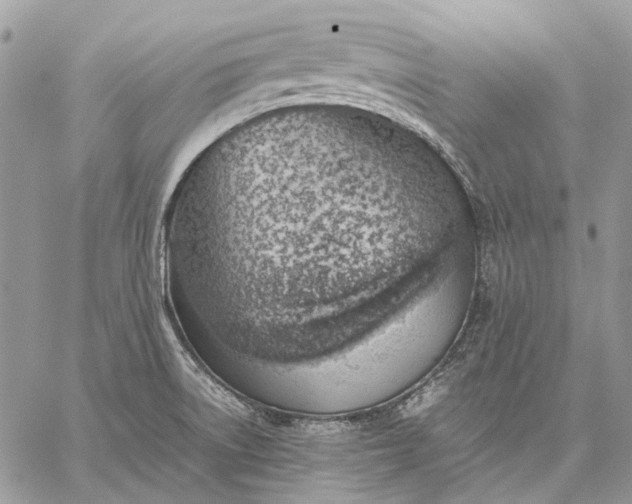 X0000059091522200510211554