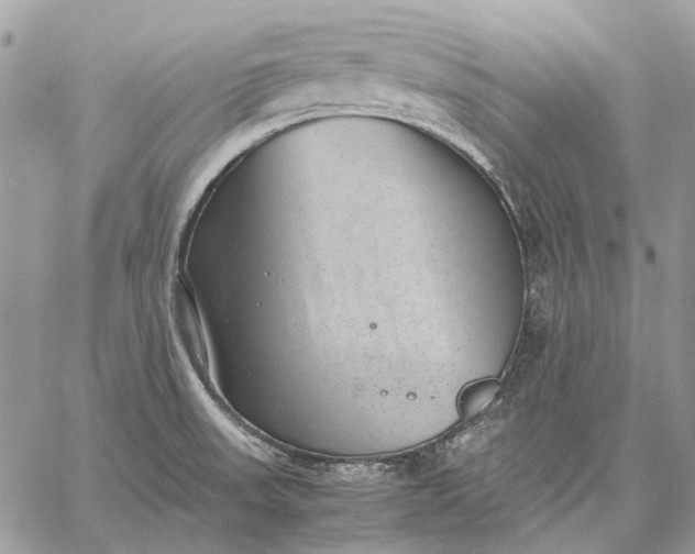 X0000059091523200510211554