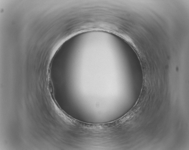 X0000059091524200510211554