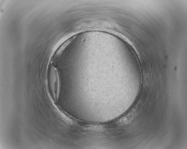 X0000059091525200510211554