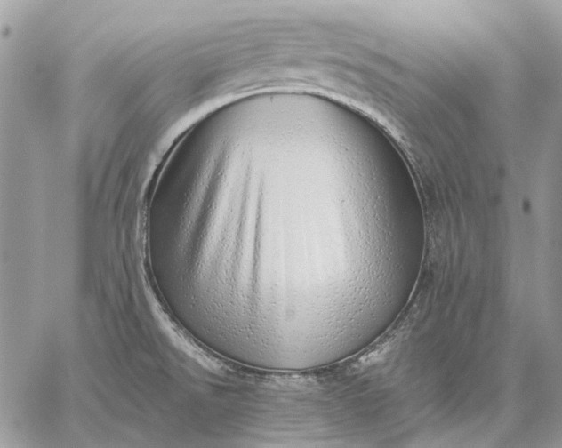 X0000059091526200510211554