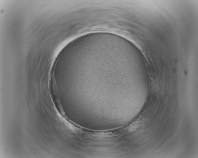 X0000059091527200510211554