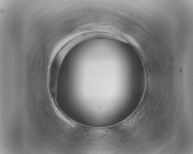 X0000059091528200510211554