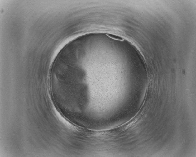 X0000059091531200510211554