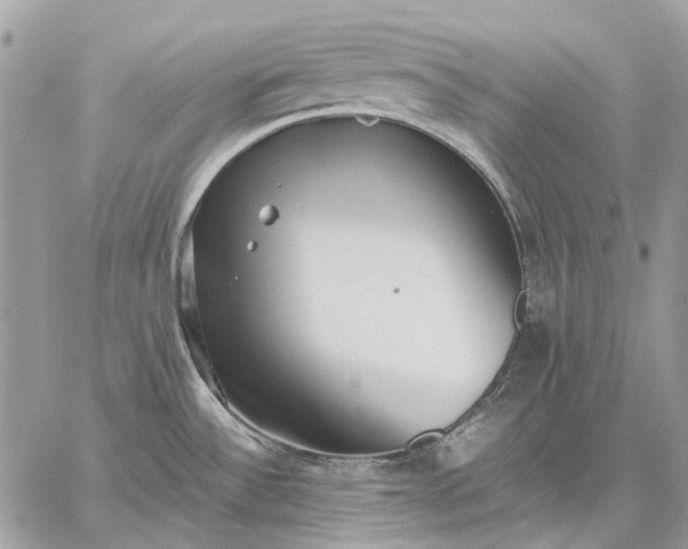 X0000059091532200510211554