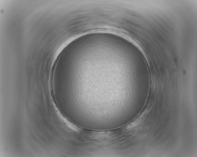 X0000059091533200510211554