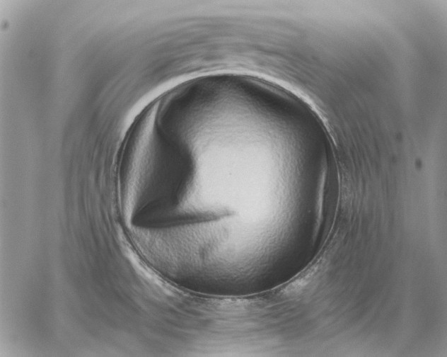 X0000059091534200510211554