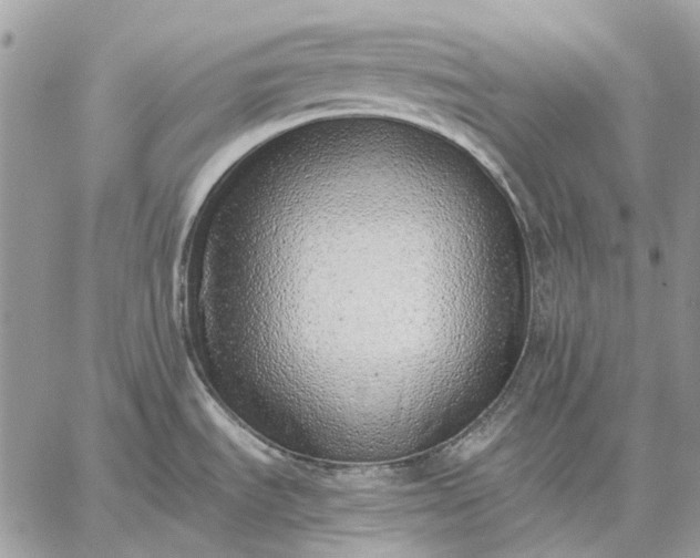 X0000059091535200510211554