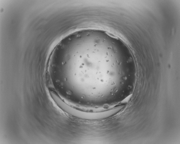 X0000059091536200510211554