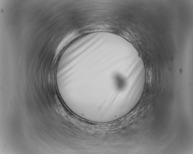 X0000059090004200510281800