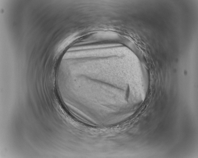 X0000059090005200510281800