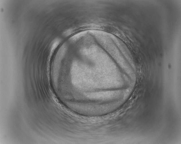 X0000059090006200510281800