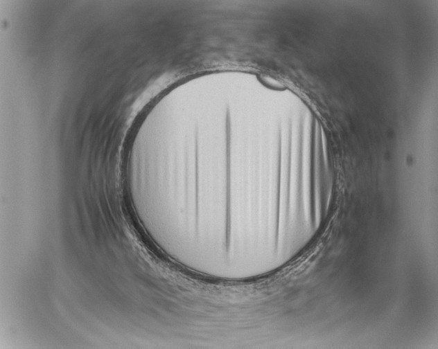 X0000059090008200510281800