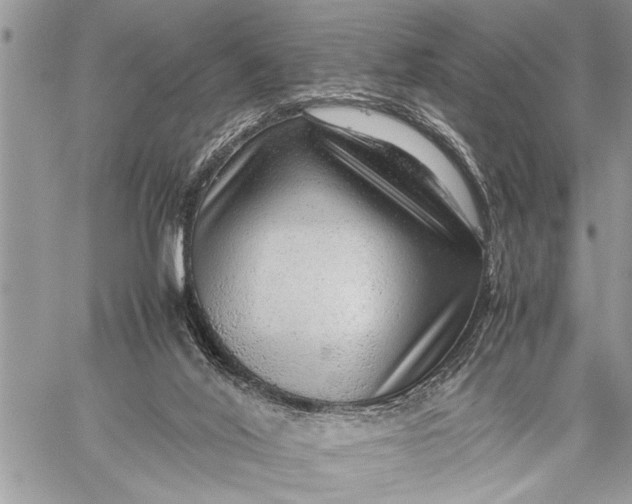 X0000059090020200510281800