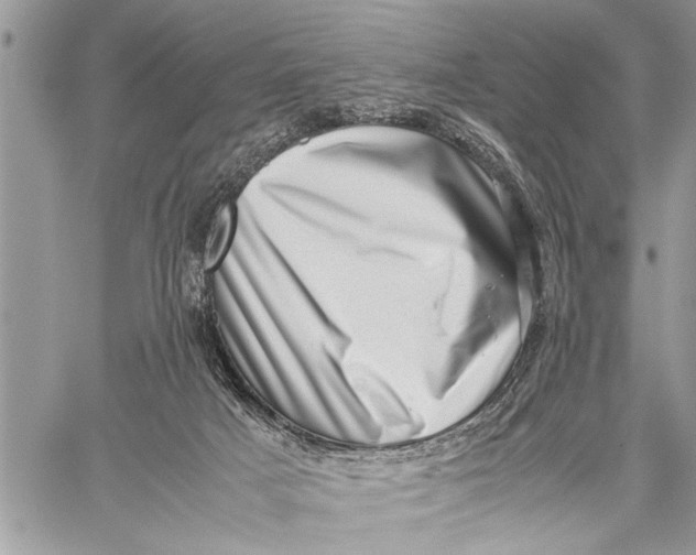 X0000059090025200510281800