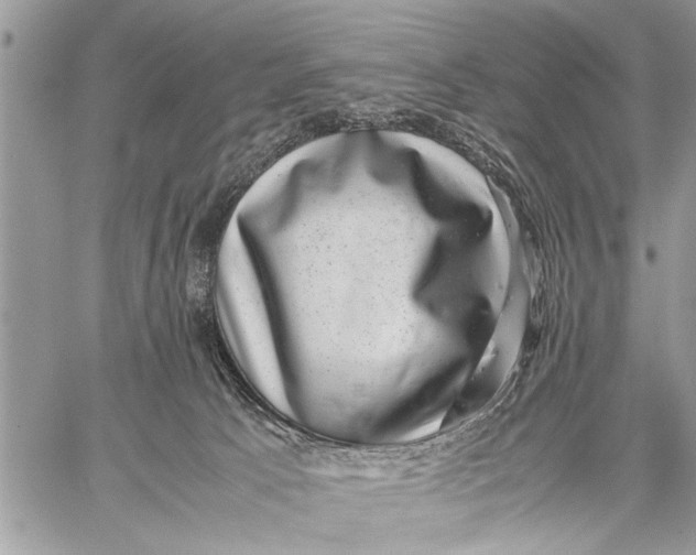 X0000059090033200510281800