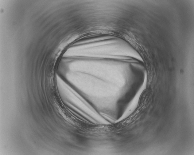 X0000059090050200510281759