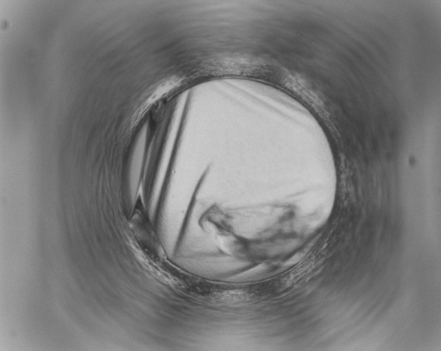 X0000059090058200510281759