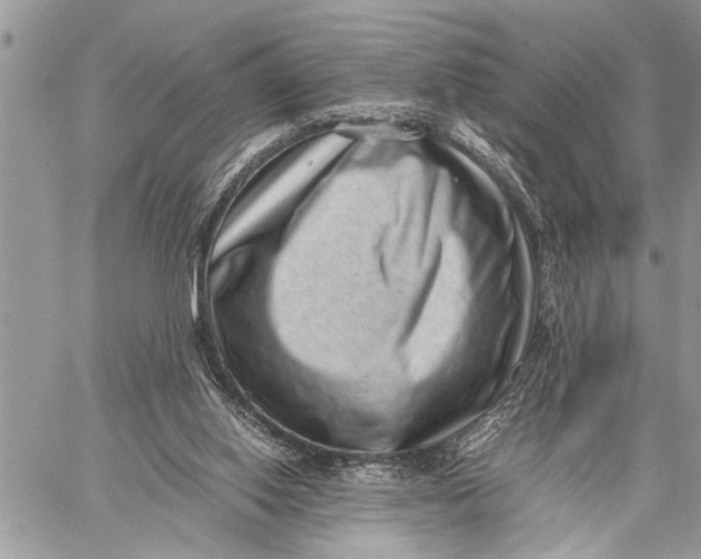 X0000059090062200510281759