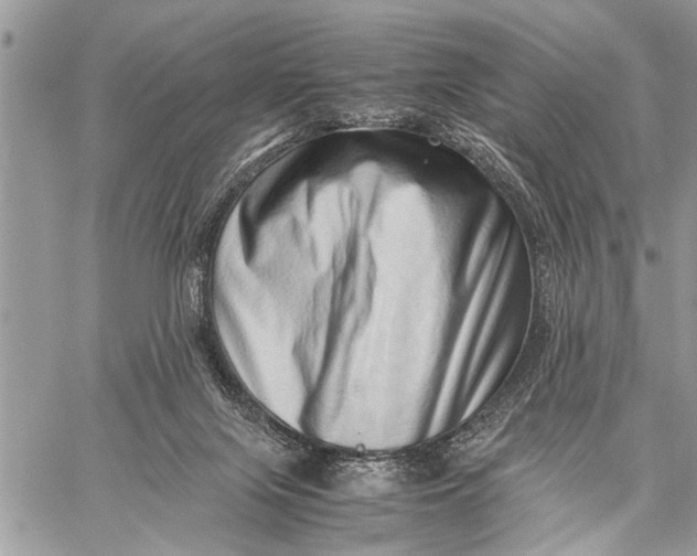 X0000059090071200510281759