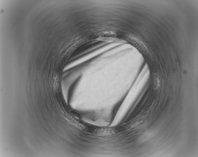 X0000059090077200510281759