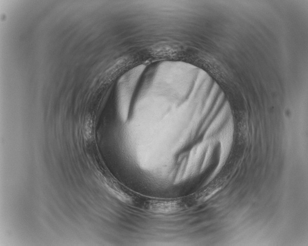 X0000059090081200510281759