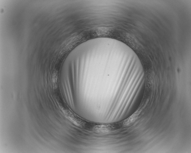 X0000059090082200510281759