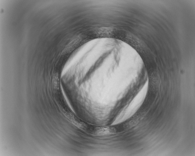 X0000059090083200510281759