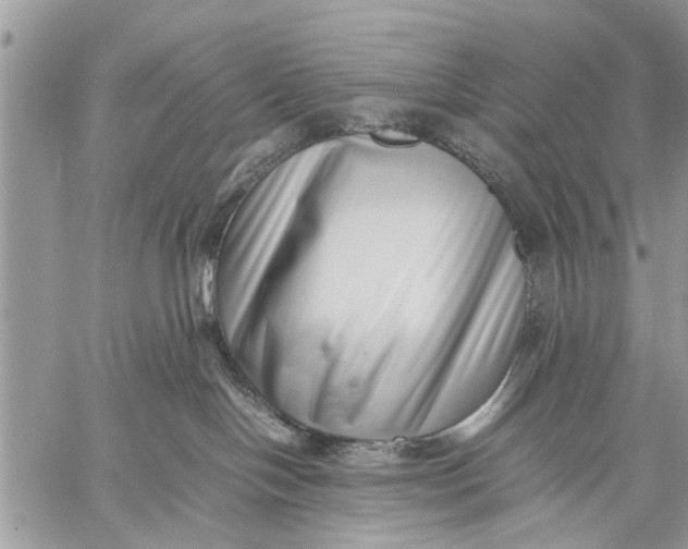 X0000059090094200510281800