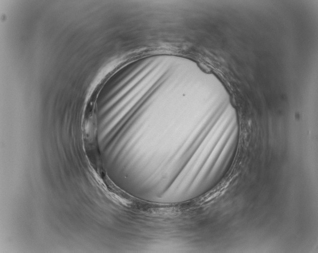 X0000059090102200510281759