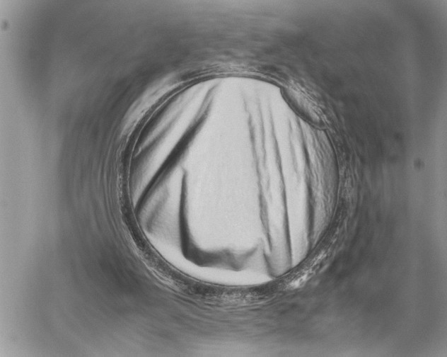X0000059090103200510281759