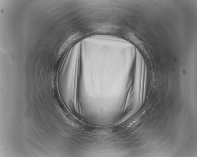 X0000059090106200510281759
