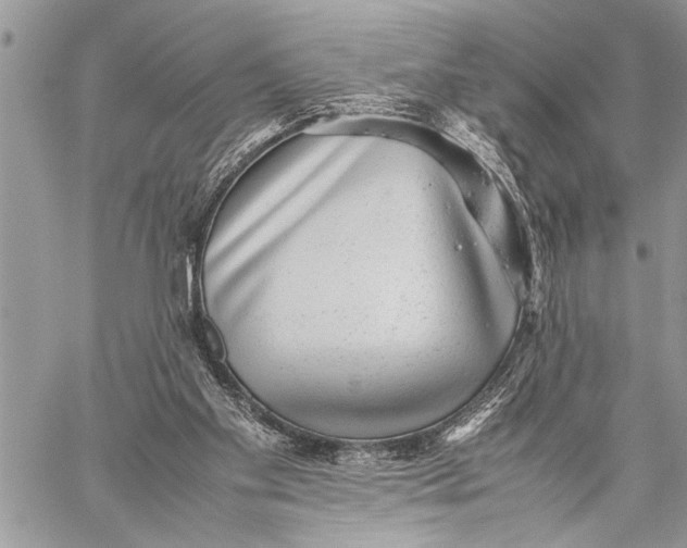 X0000059090109200510281759